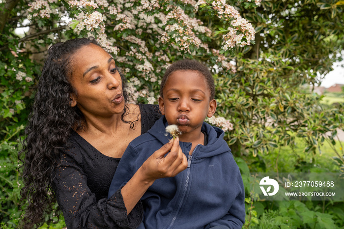 Mother and son blowing dandelion flower