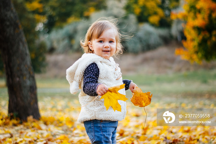 Little toddler girl is playing in fallen leaves in autumn park.