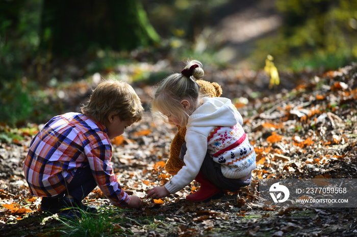 Children pick acorns from oak trees. Brother and sister camping in autumn forest. Little boy and girl friends have fun on fresh air. Childhood and child friendship. Kids activity and active rest