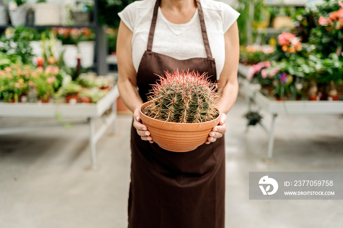 Unrecognized Beautiful Woman Holding Cactus