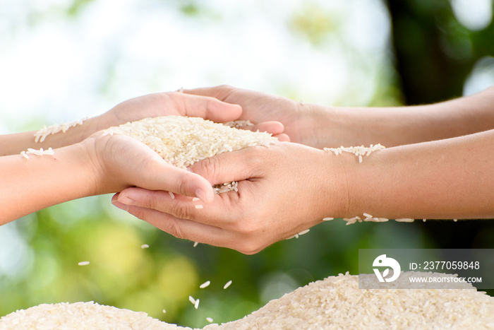 Jasmine rice in mother and child hands.