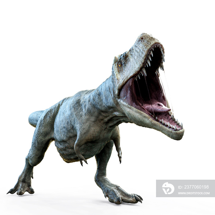 tyrannosaurus rex isolated