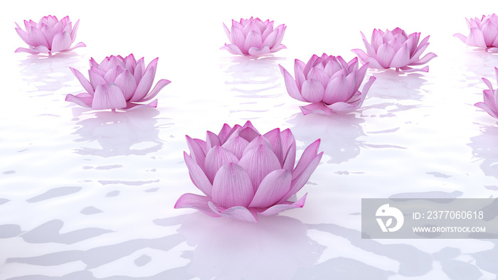 3d rendered spa illustration - lotus flowers