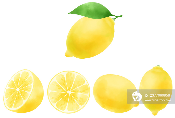 水彩で表現したレモンのイラストセット／lemon illustration set expressed in watercolor