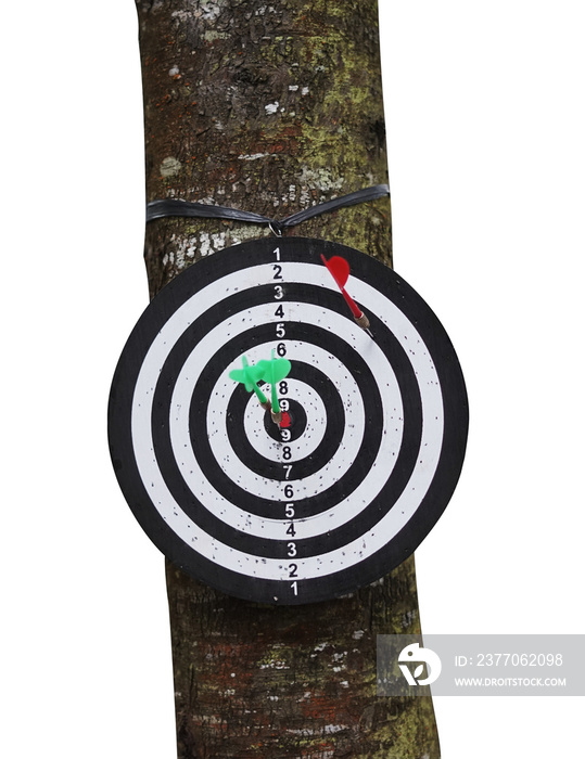 target with arrow on tree