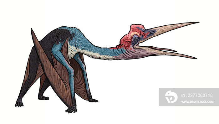 Prehistoric pterosaur - Quetzalcoatlus. Flying reptiles from jurassic period.