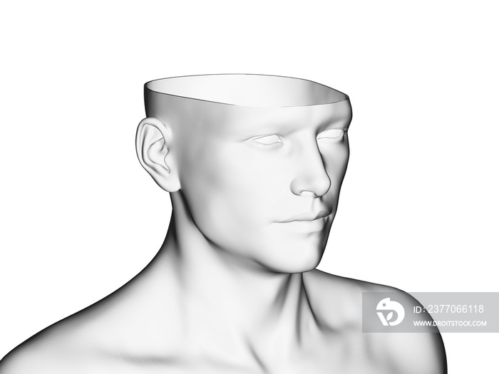 3d rendered medically accurate illustration of a cut open head