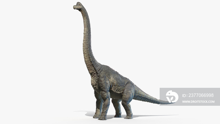 3d rendered illustration of a Brachiosaurus