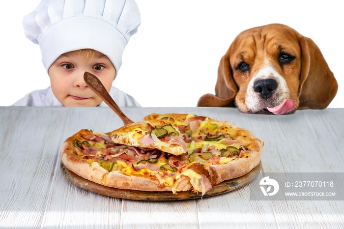 chef boy and beagle dog preparing delicious bacon and cheese pizza