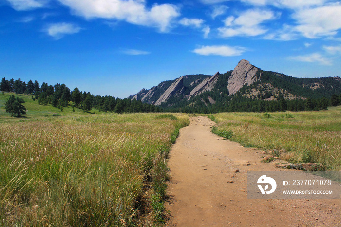 Trail in Boulder Colorado Flatirons -   A dirt path with green grass on each side which leads to the Flatirons peaks in Boulder, Colorado.