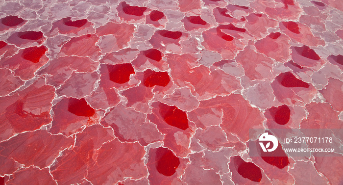 Lago Natron, Valle del Rift, Tanzania, Africa