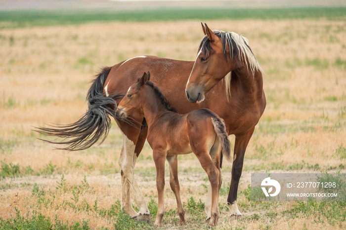 Mom and Baby