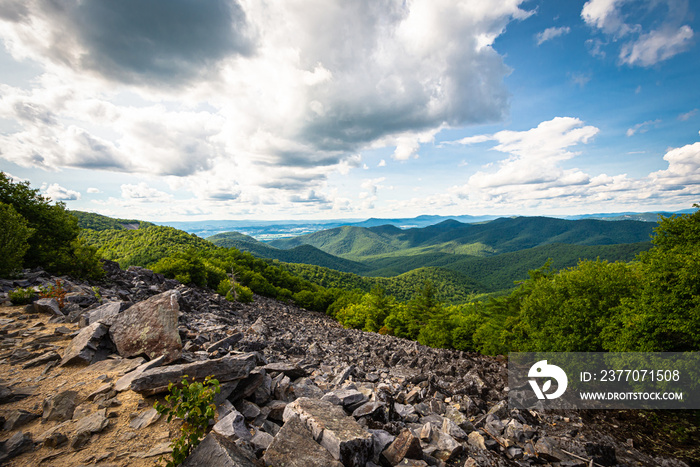 View from Blackrock Summit in Shenandoah National Park,VA