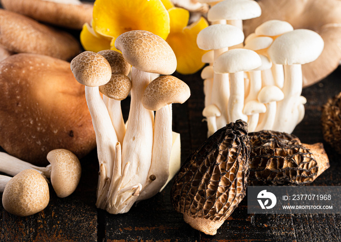 A Variet of Fresh Mushrooms on a Wooden Table