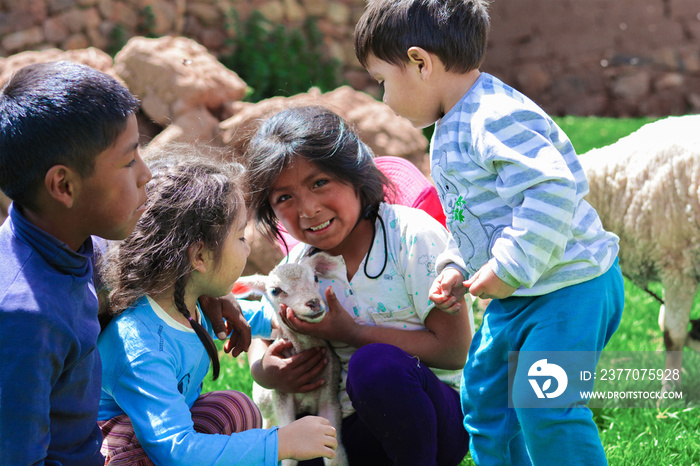 Four latin children taking care of newborn lamb.