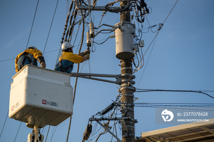 送電線断線の復旧工事