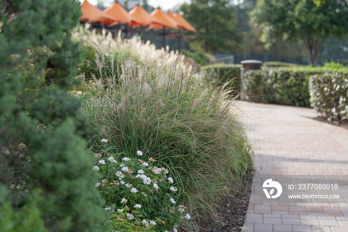 A brick walkway in Hughes Landing, The Woodlands, Texas.