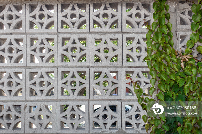 Cement concrete fence wall texture, green leaf Ivy