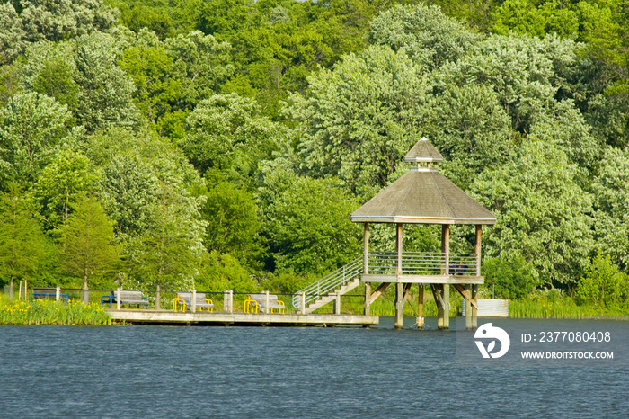 Boardwalk in Lake Artemesia, College Park, MD