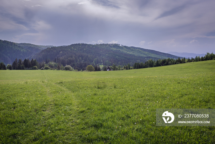 Meadow in Klastorisko in Slovak Paradise National Park in Slovakia