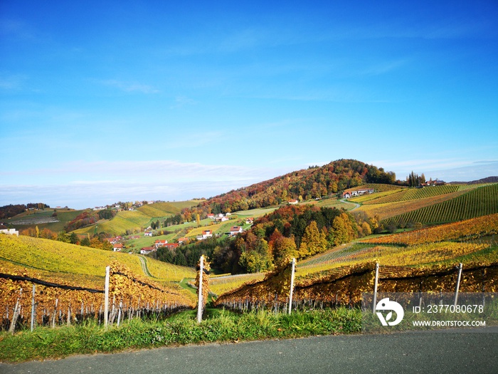 Südsteirische Weinstraße im Herbst