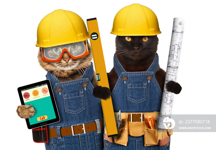Funny cat is wearing a suit of builder and holding a smartphone. Craftsman on the white background.