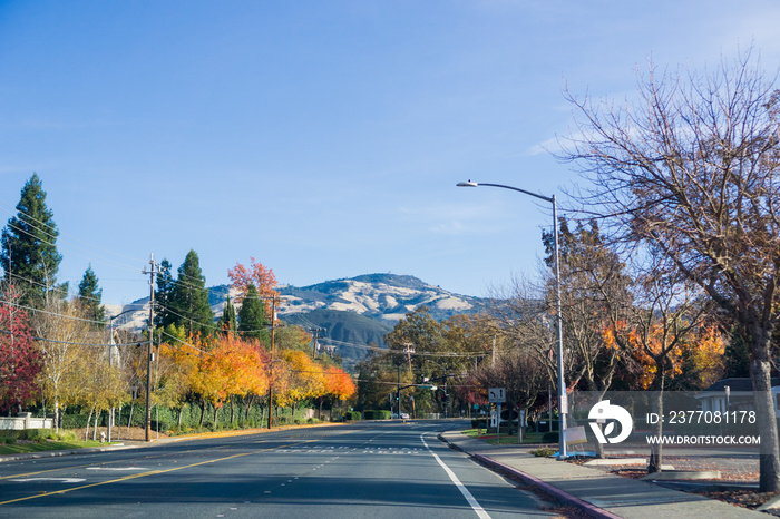 Colorful trees lining up a road through Danville, Mt Diablo summit in the background, Contra Costa county, San Francisco bay area, California