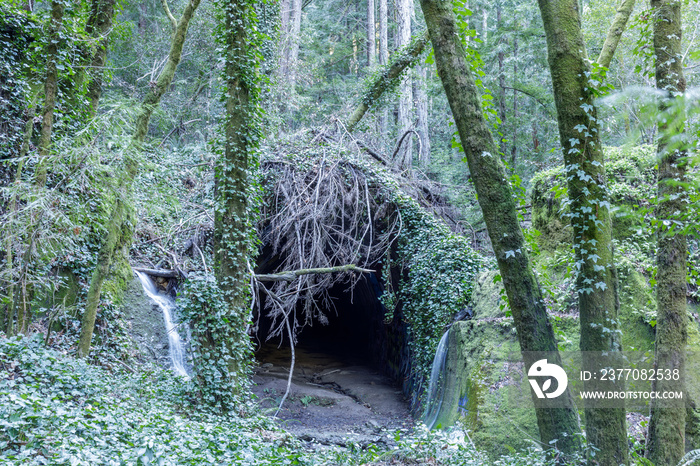 Wrights Tunnel North Portal. Abandoned Railroad Tunnel Entrance Ruin (1880-1942) in Santa Cruz Mountains, California, USA.