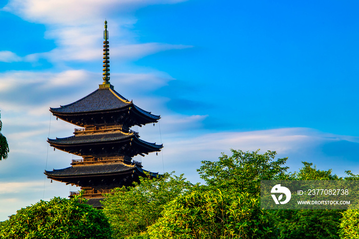 京都　東寺　五重塔