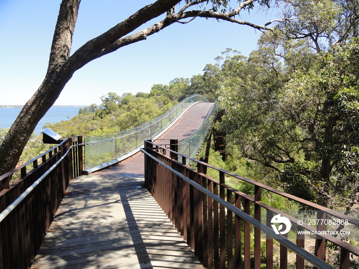 Pedestrian bridge (footbridge) towards the horizon amidst green vegetation. Beautiful wooden and red metal bridge. Clear blue sky, tree trunks, shadows of trees. Mount Eliza Lookout, Kings Park, Perth