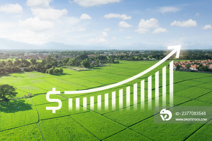 Land value in aerial view consist of landscape of green field or agriculture farm, house building, growth graph of rate market price for agent, realtor, investor to sale, buy, mortgage and investment.