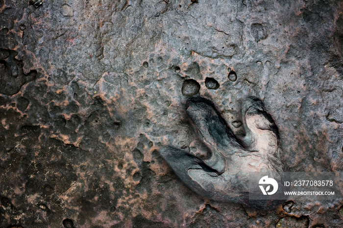 Real dinosaur footprint , Thailand.