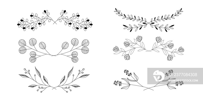 花　シンプル、線画、ナチュラル　美しい線画のボタニカルのライン