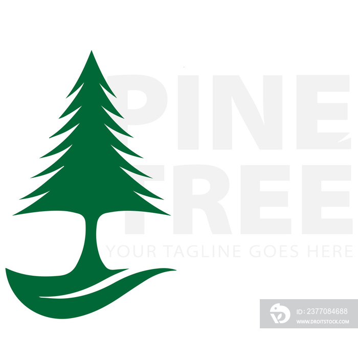 Pine tree logo design vector image