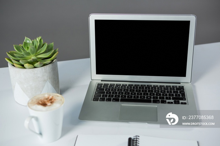 Laptop with cup of coffee and pot plant