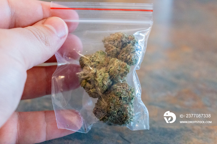 Marijuana Buds Spilling Out of a Baggie on a White Background