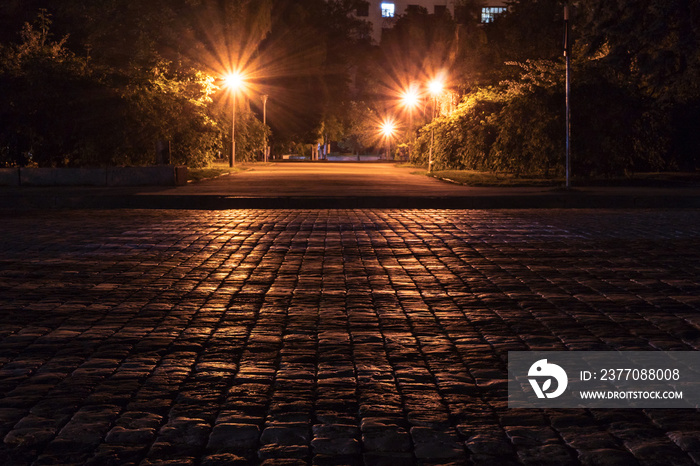 Glistening paving stone from the light of street lamps in the park. Night scene