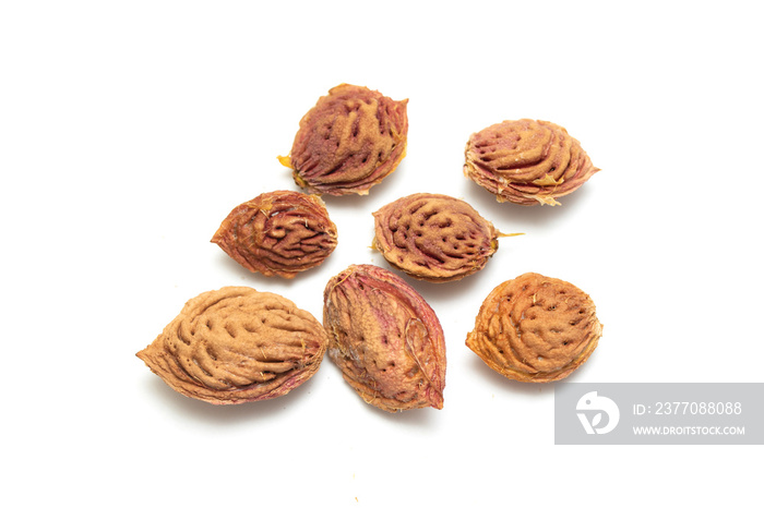 Peach pits on a white background.