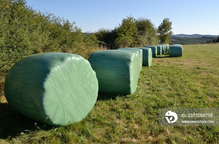 Ballots de paille sous plastique