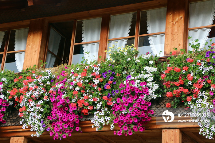 Sommer im Bregenzerwald, Vorarlberg, Österreich, Europa