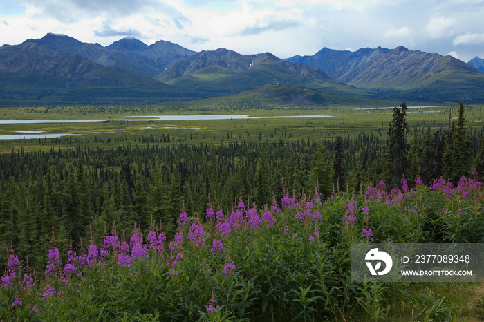 Mountain panorama at Glenn Highway between Glennallen and Palmer in Alaska, United States,North America