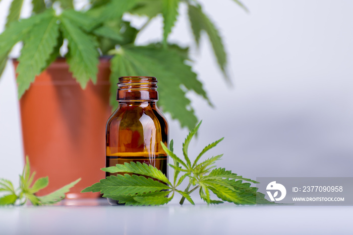 Medical, chemical theme background with cannabis leaves, oil bottle and young marijuana plant in a pot behind.