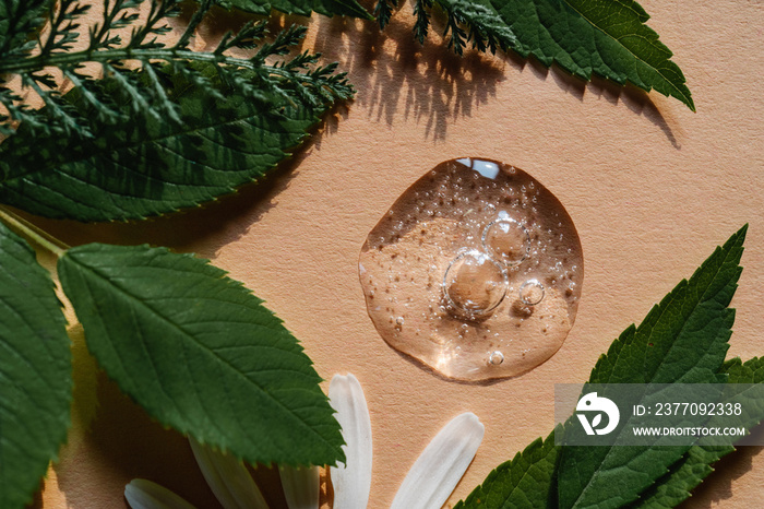 A drop of cosmetic gel on a beige background surrounded by plants and leaves.