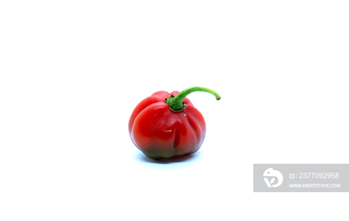 Rocoto pepper