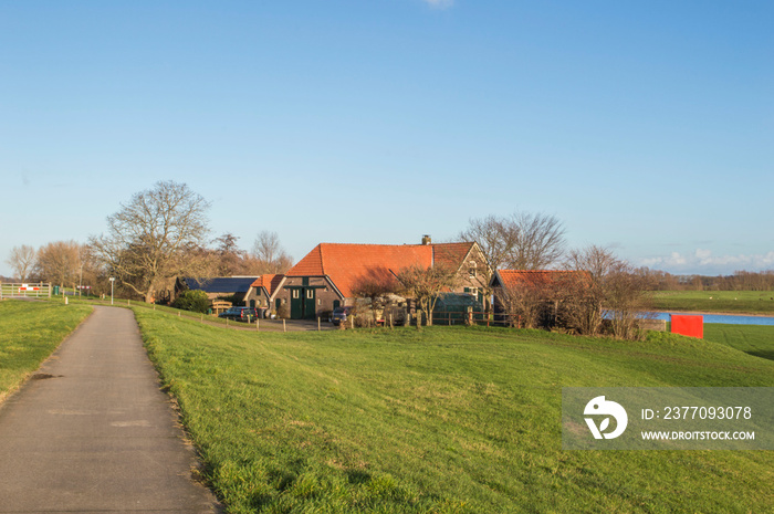 landscape with biking road on dike with farm and little village in the Dutch polder near river IJssel