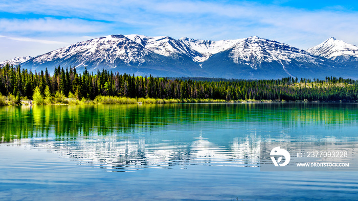 Patricia Lake with reflections of the snow capped peaks of the Rocky Mountains in Jasper National Park, Alberta, Canada