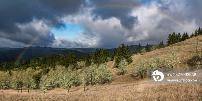 Rainbow above oak and fir forest..Fitton Green Natural Area, Corvallis, Oregon