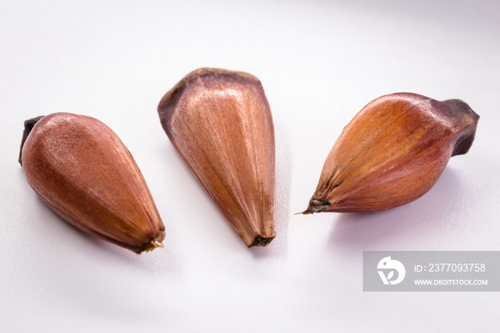 Brazilian pine in brown wooden rustic bowl. Typical araucaria tree seed used as a condiment in Brazilian cuisine in winter.