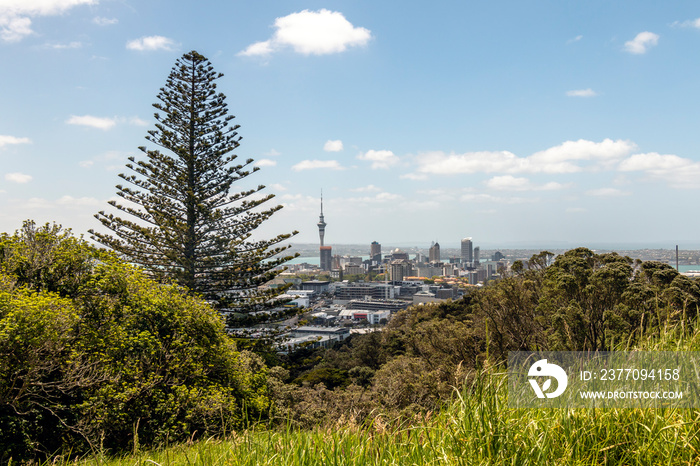 Auckland City from Mount Eden, Aukland, New Zealand.