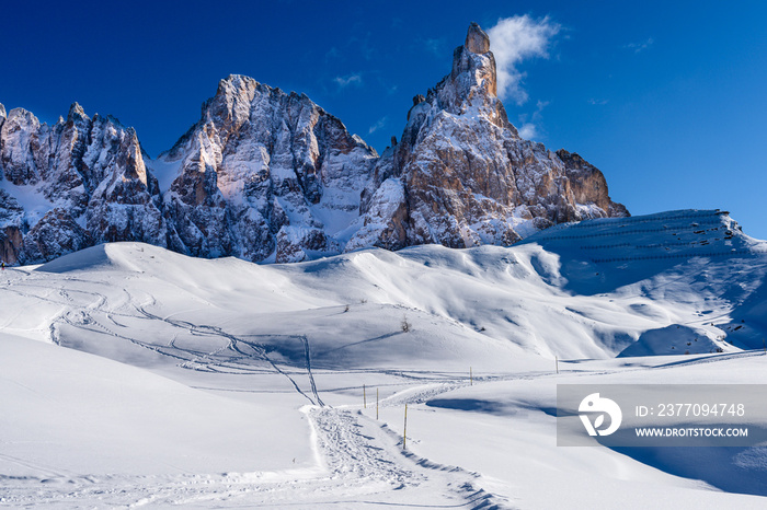 Trentino Alto Adige, Dolomiti, Passo Rolle Pale di San Martino